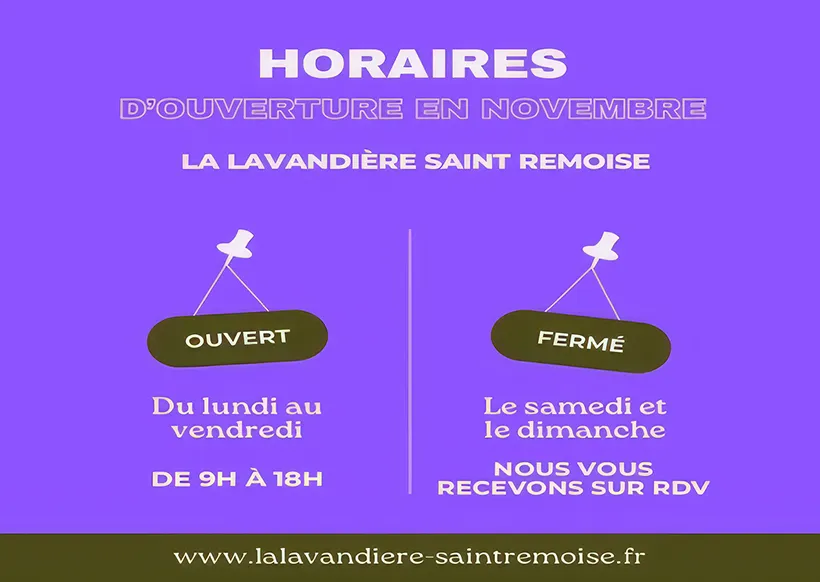 La Lavandiere Saint Remoise Blanchisserie Saint Remy De Provence 03 1
