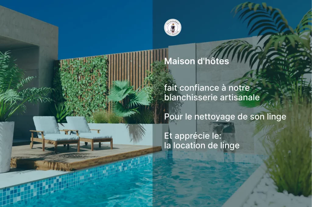 La Lavandiere Saint Remoise Blanchisserie Saint Remy De Provence Maison Dhotes